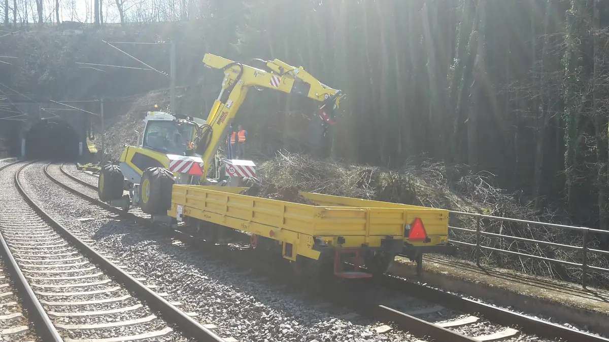 Menzi Muck M545 încărcând crengi într-un vagon de cale ferată, lângă un tunel